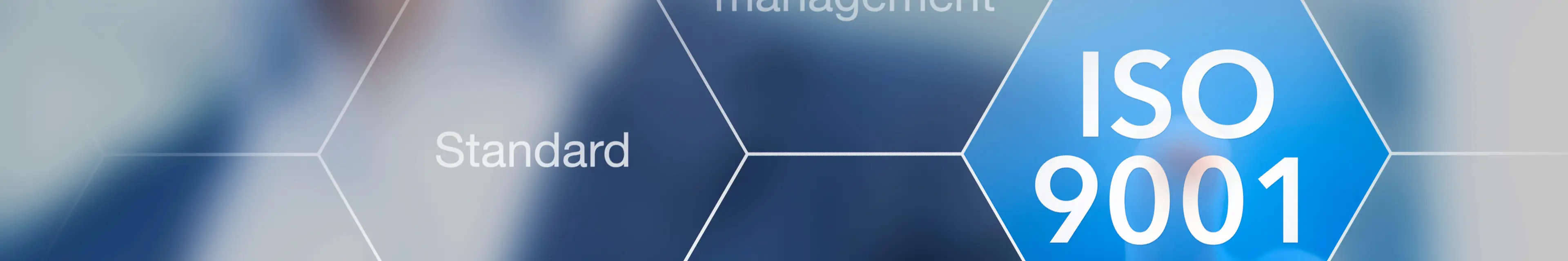 BIBUSMETALS_Nickel_Alloys_Quality_Management