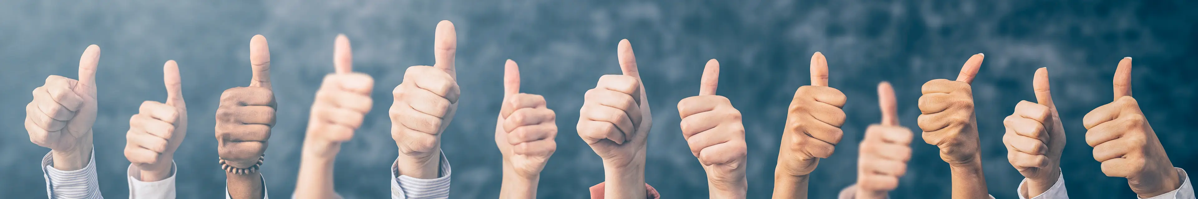 eine starkte Kultur Hero BIBUS AG CH